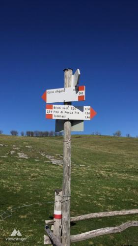 Indicazioni Corno d'Aquilio