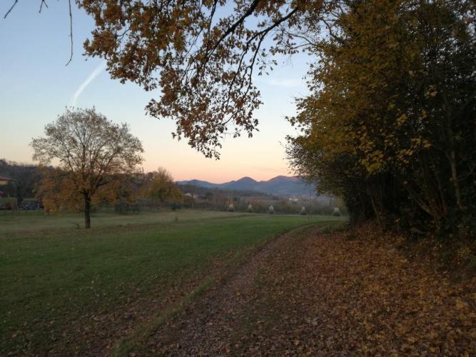 Verso lo stagno Borin con veduta su Valsanzibio