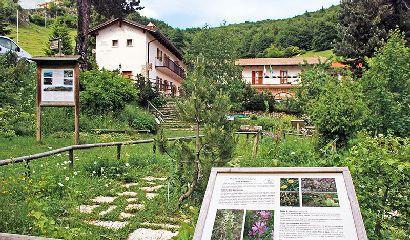 orto botanico monte baldo