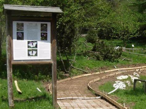 orto botanico monte baldo 01