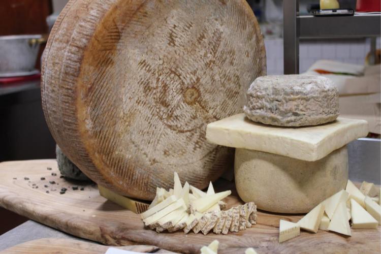 Formaggi tipici