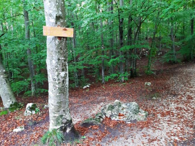 Giro delle Contrade Alte