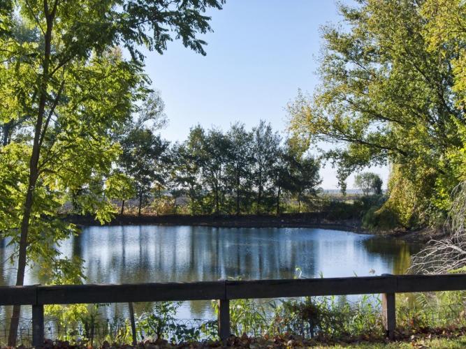 I Gorghi di Trecenta