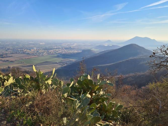 vista su Monselice e i colli dalla Croce