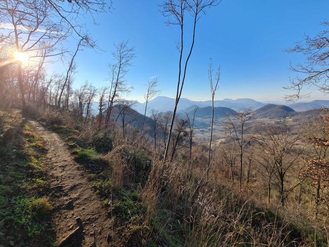 tratto di sentiero con vista sui colli