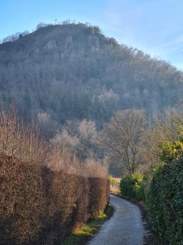 inizio sentiero dalla variante di Turri