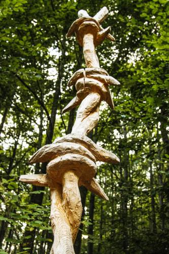 fronte di vaia statua