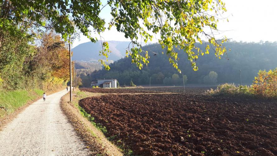 Sentiero verso Valli Toffan