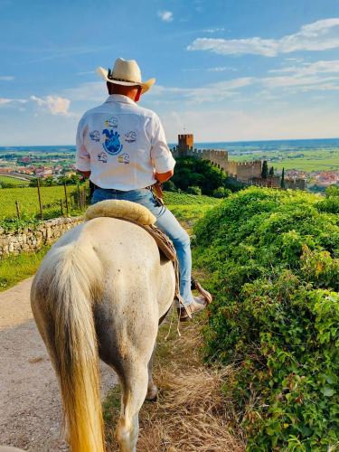 Passeggiata a cavallo