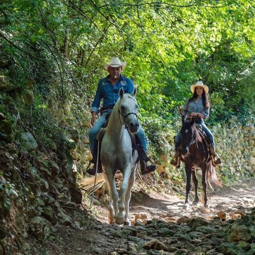 Passeggiate a cavallo 9