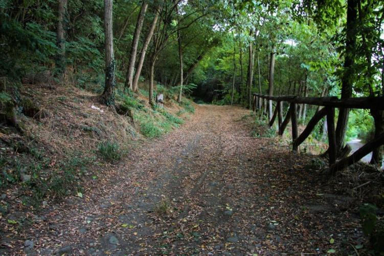 Tratto iniziale con staccionata