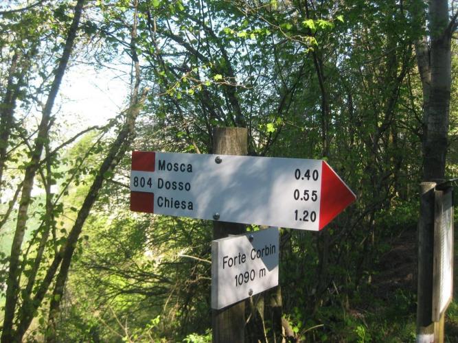 Sentiero 635 Valdastico