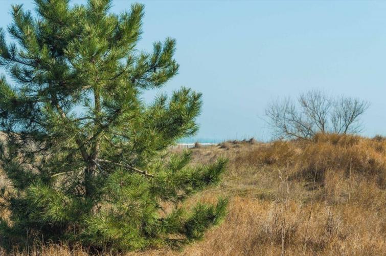 Centro Turistico Ambientale