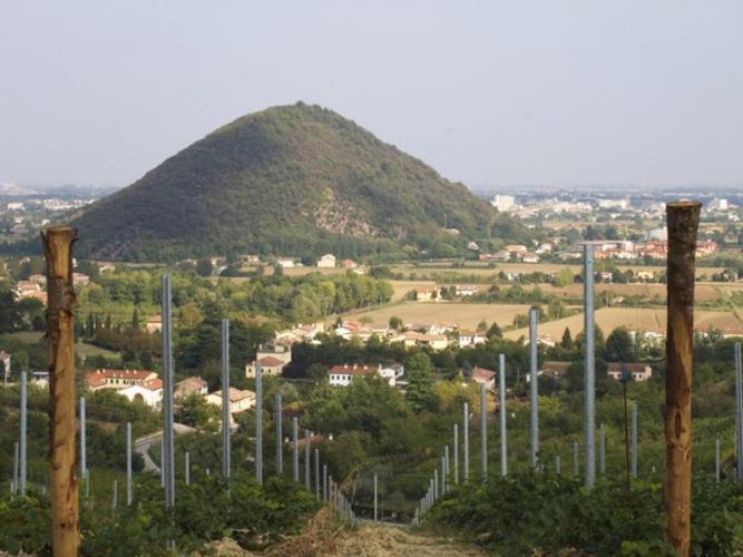 Monte Ortone