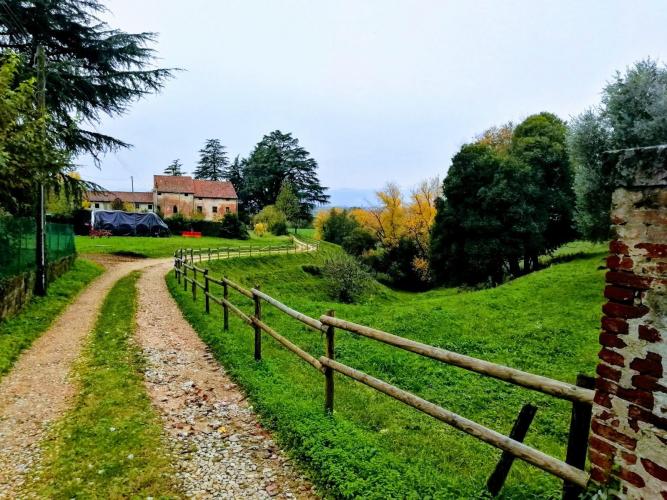 Percorsi permanenti Sarcedo