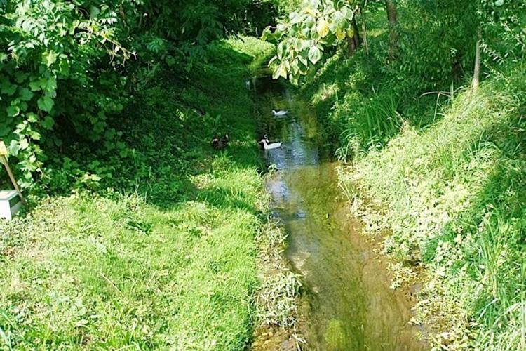 Risorgive Fontane Bianche Santa Giustina in Colle