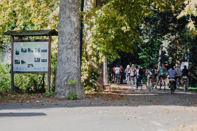 Anello città murata