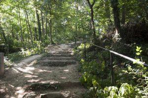 Scalinata naturale lungo il sentiero