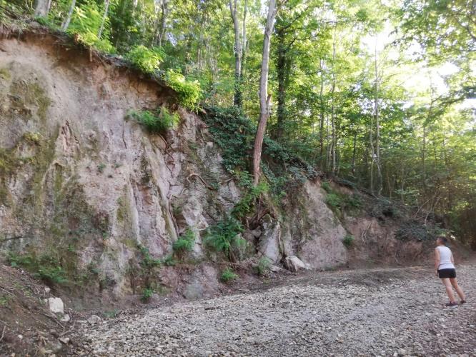 Parete di pietra simile alla trachite