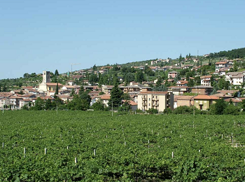 Alla scoperta della Valle di Negrar