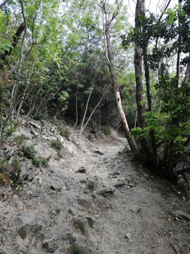 Tratto impervio del sentiero di Monte Castello