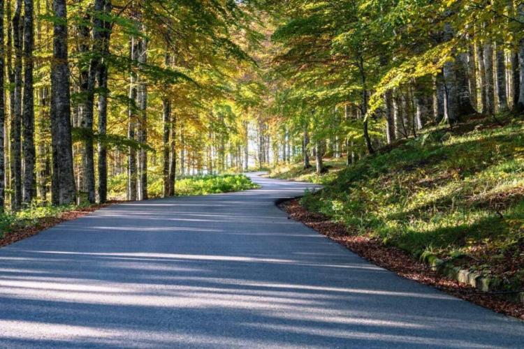 Sentiero Alpago Natura