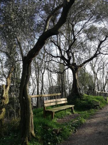 Relax lungo il sentiero