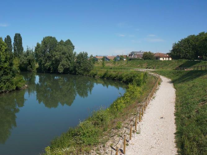 Golena del Bacchiglione Sabbionari 1