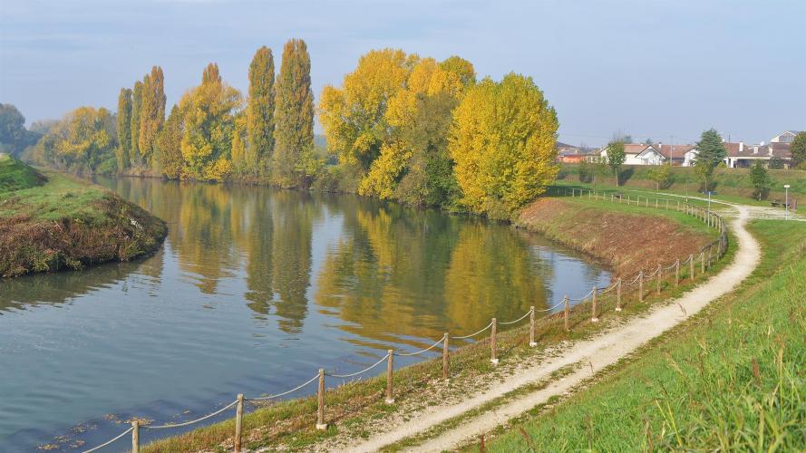 Golena del Bacchiglione Sabbionari 2