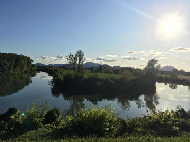 Golena del Bacchiglione Sabbionari 5