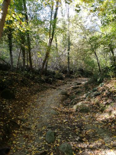 Tratto iniziale del sentiero