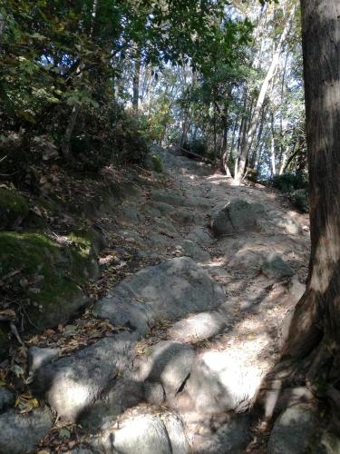 tratto roccioso in salita