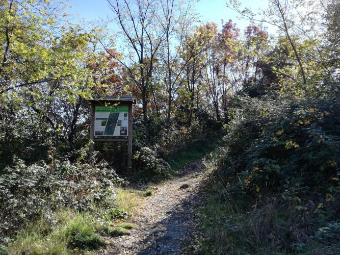 indicazione per rientro nel bosco