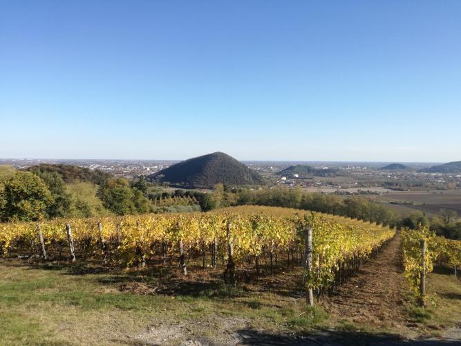 vista su Torreglia e Montegrotto