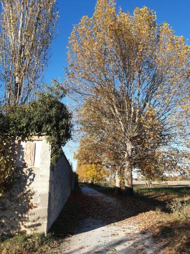 verso fine percorso, lungo le mura di recinzione
