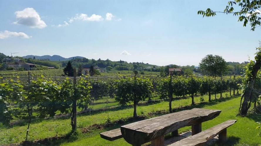 Agriturismo Riva de Milan - Valdobbiadene -