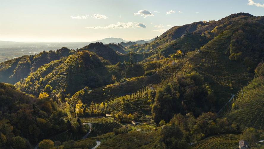 Le Rive de Nadal - AZIENDA VINICOLA