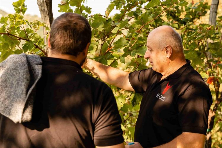 Follador Francesco - Valdobbiadene -