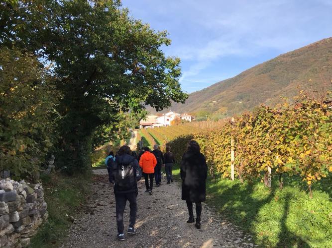 Guide di Marca -  Valdobbiadene