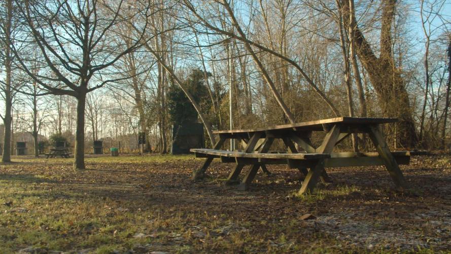 ___FOOTAGE_SELEZIONE.00_31_36_11.Immagine019 copia