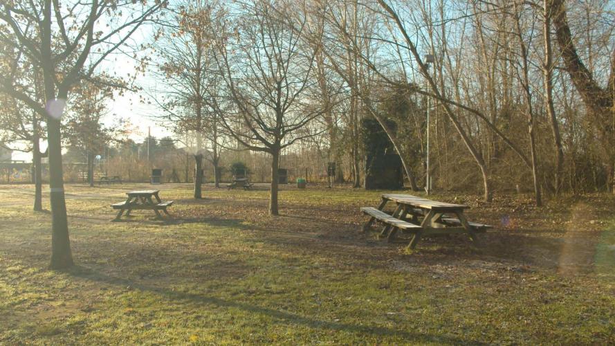 ___FOOTAGE_SELEZIONE.00_32_27_18.Immagine021 copia