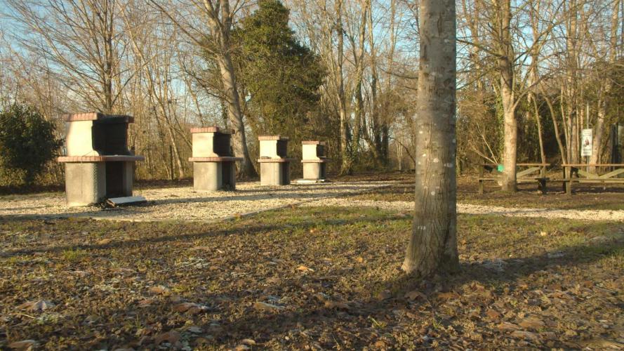 ___FOOTAGE_SELEZIONE.00_26_11_19.Immagine014 copia