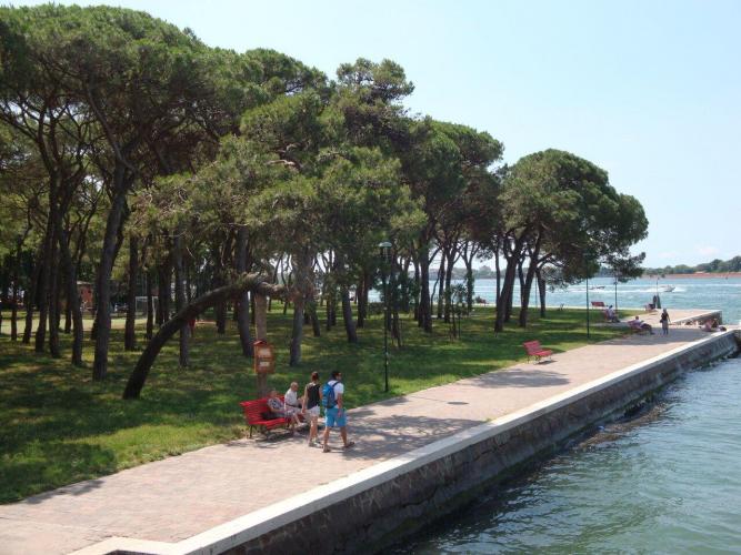 rsz_pineta_di_santelena_dsc03877_comune_di_venezia
