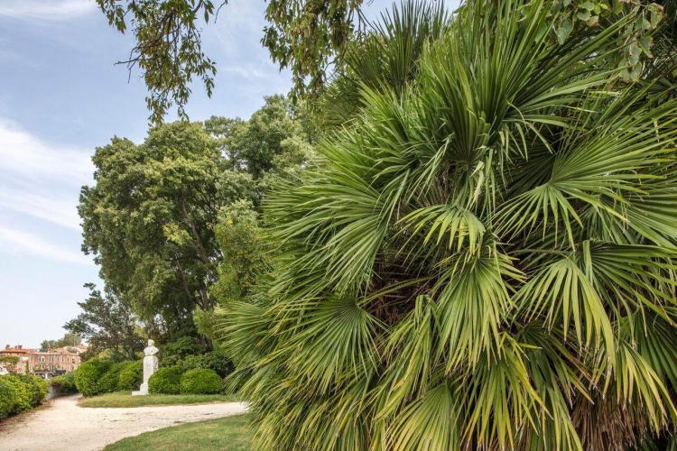 rsz_1m5a6289-hdr_giardini_biennale_venezia_giorgio