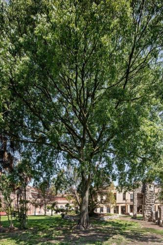 rsz_1m5a6002-hdr_giardini_groggia_giorgio_bombieri