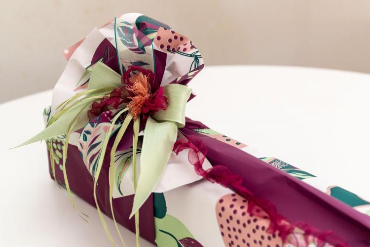 77 -  Olivia Malcesine