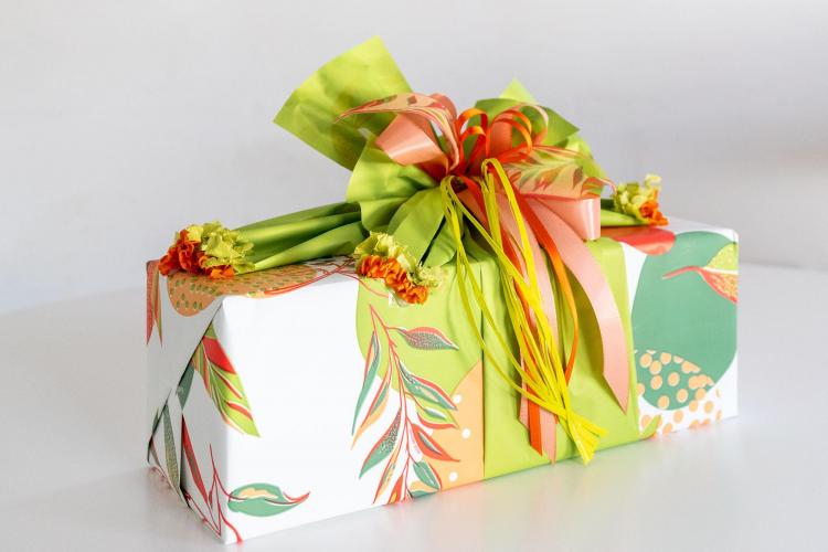 76 -  Olivia Malcesine