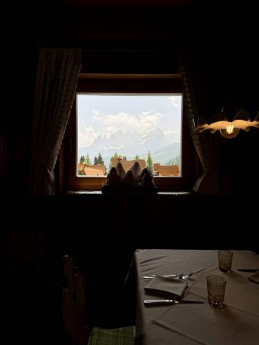 flora alpina interno