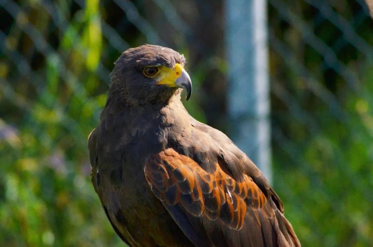 Immagine WhatsApp 2025-10-04 ore 17.02.17_55cc5bf7