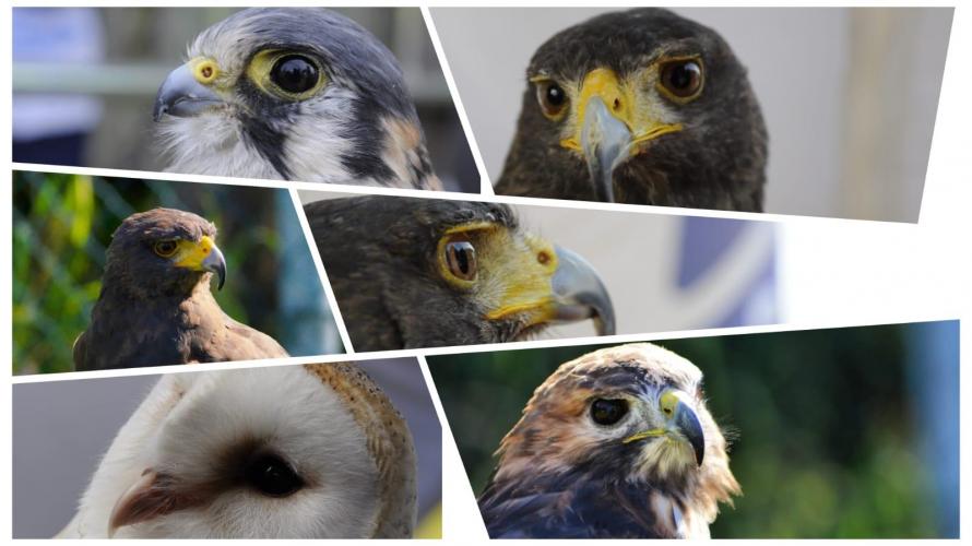 Immagine WhatsApp 2025-10-04 ore 17.02.12_5282ea2b